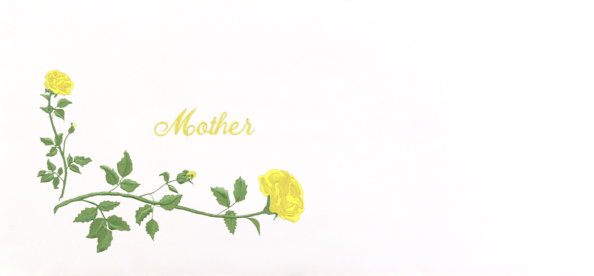 Mother Rose Oyster Yellow